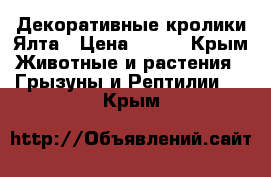 Декоративные кролики Ялта › Цена ­ 500 - Крым Животные и растения » Грызуны и Рептилии   . Крым